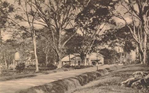 Ilustrasi Desa Bojong Tempo Dulu