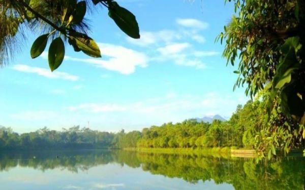 Pemandangan Indah Desa Bojong untuk Dikunjungi